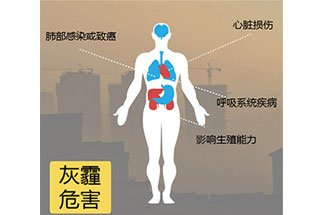 空氣中PM2.5 是由什么物質(zhì)組成的？
