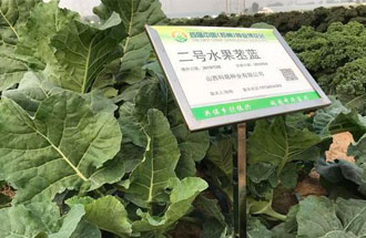 10月23日，中國（鄭州）種業(yè)博覽會將在河南省鄭州市中牟縣官渡鎮(zhèn)鄉(xiāng)謠農(nóng)場舉辦