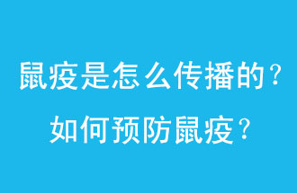 鼠疫是怎么傳播的？如何預(yù)防鼠疫？